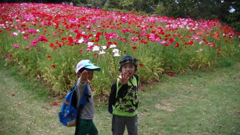 f:id:ktomato:20140620121754j:image:w360:left