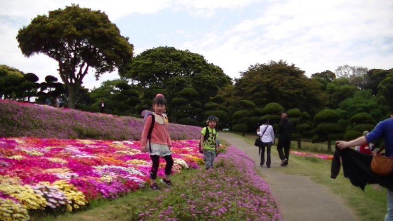 f:id:ktomato:20140620121758j:image:w360:left