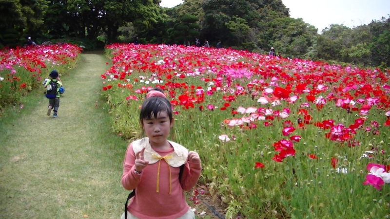 f:id:ktomato:20140620121932j:image:w360:left