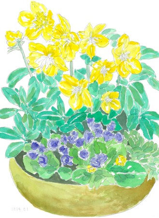 f:id:ktoshi3:20140818100830j:image