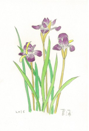 f:id:ktoshi3:20161211150901j:image