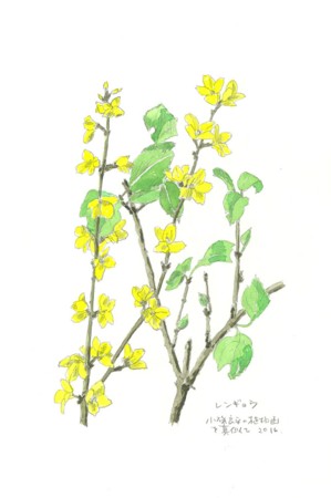 f:id:ktoshi3:20161211151156j:image