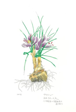 f:id:ktoshi3:20161211151309j:image