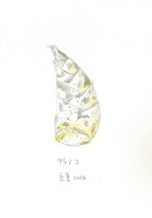 f:id:ktoshi3:20161211151711j:image