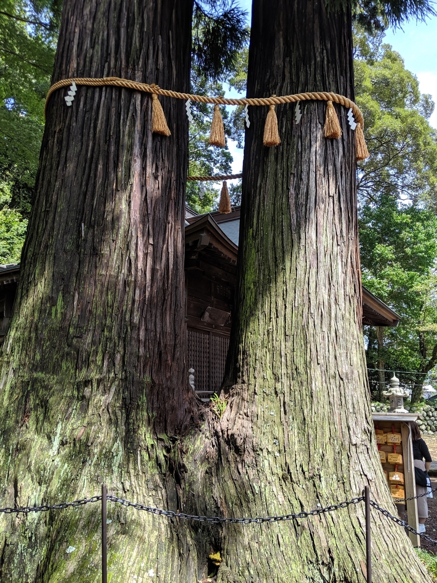 f:id:ktr_0731:20190911004852j:plain f:id:ktr_0731:20190911004852j:plain