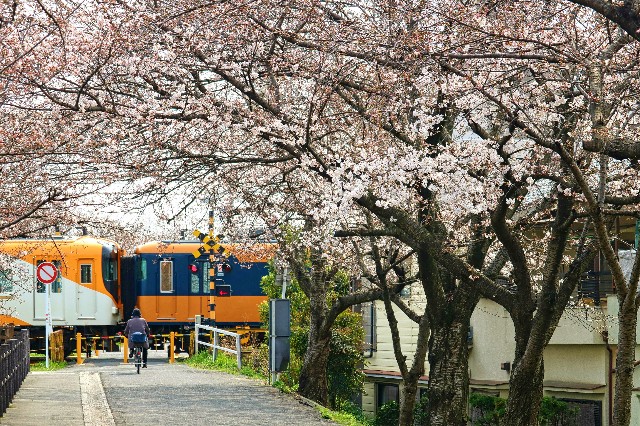 f:id:ktsjp:20190329194600j:plain