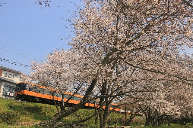 f:id:ktsjp:20190406202519j:plain