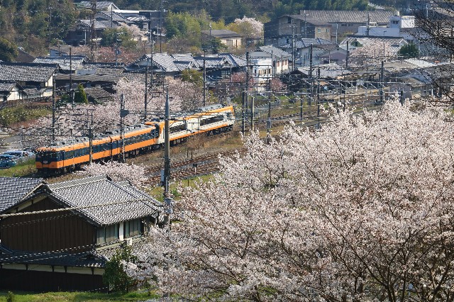 f:id:ktsjp:20190406202537j:plain