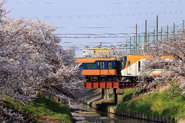 f:id:ktsjp:20190406202554j:plain