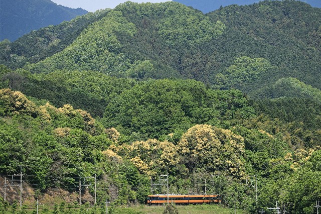 f:id:ktsjp:20190507082418j:plain