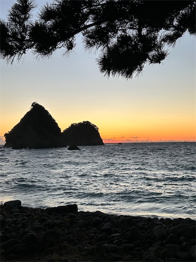 f:id:ku-cha-yuki:20260109231846j:image