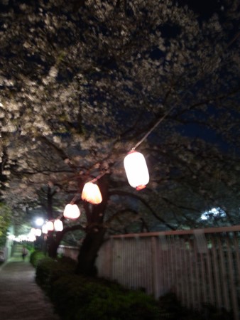 f:id:ku-ne:20140404201557j:image
