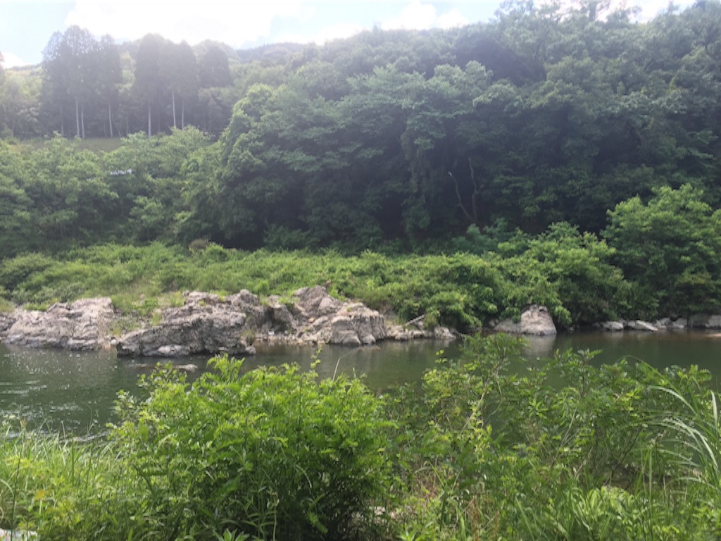 f:id:ku-ozekey:20160629084839j:image f:id:ku-ozekey:20160629084839j:image