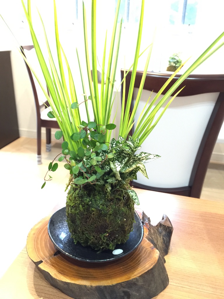 f:id:ku-ozekey:20160629091341j:image f:id:ku-ozekey:20160629091341j:image
