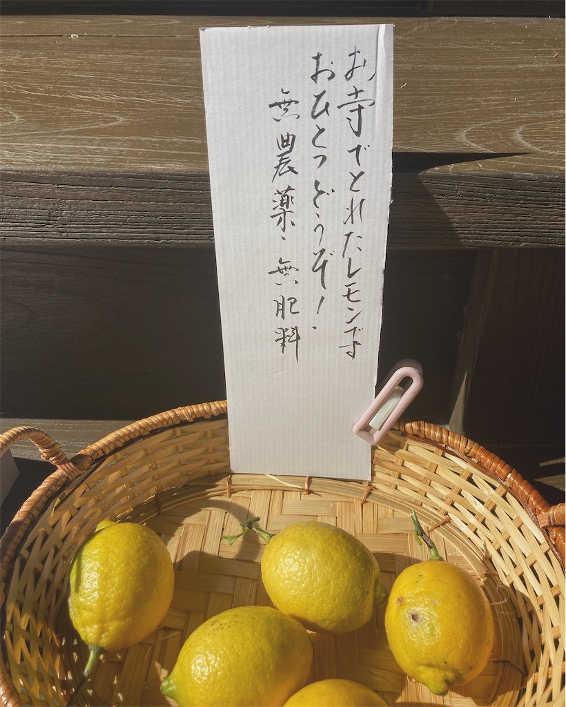 f:id:ku_rin:20211015234229j:image f:id:ku_rin:20211015234229j:image