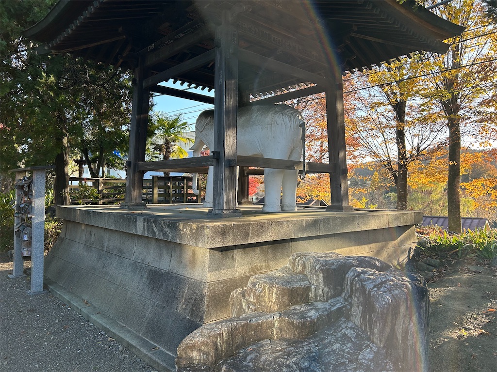 f:id:kuac123:20231219111002j:image