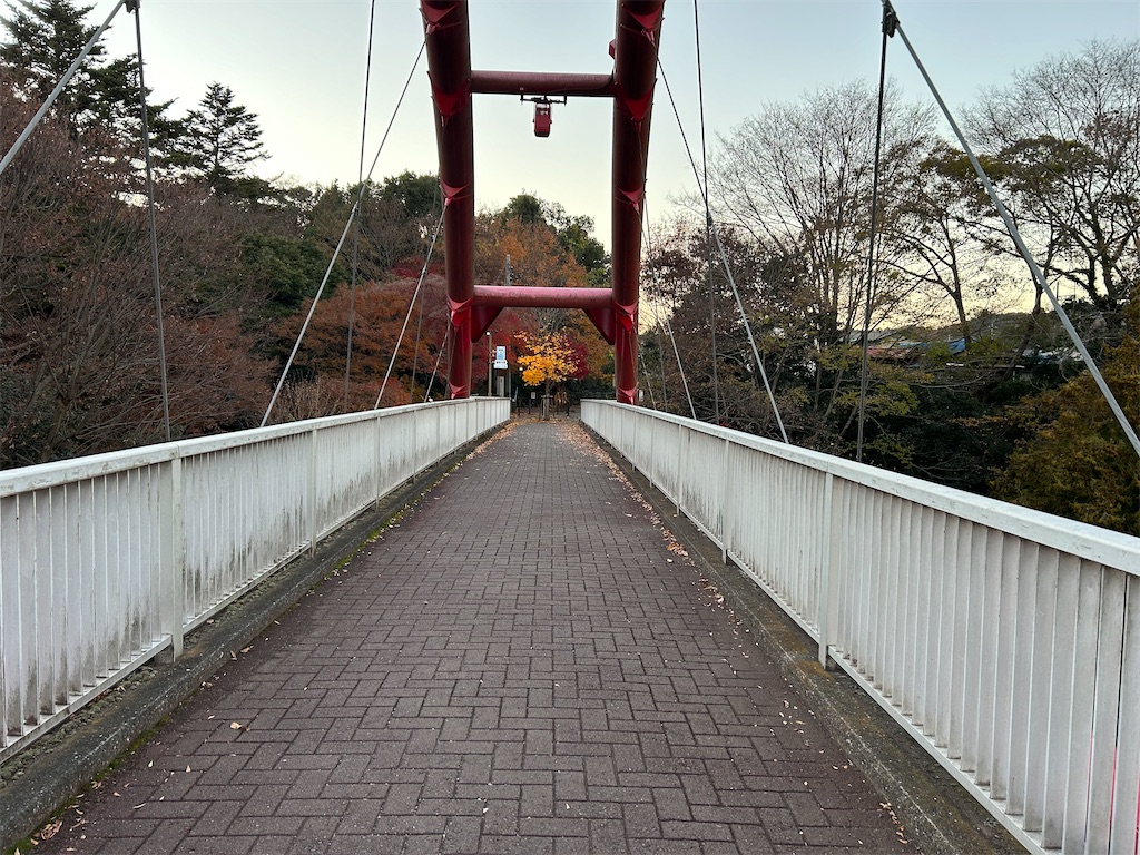 f:id:kuac123:20231219111202j:image