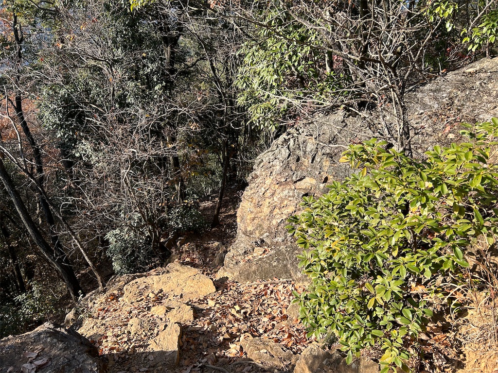 f:id:kuac123:20231225140408j:image