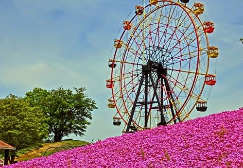 f:id:kuan05:20190507214419j:plain