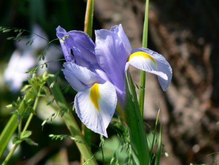 f:id:kubitaoru:20120416021622j:image