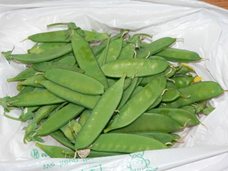 f:id:kubitaoru:20120416022648j:image:right:w150