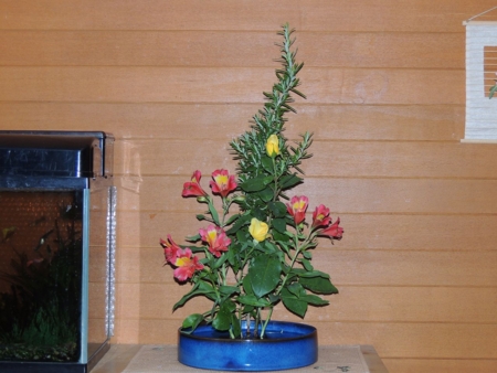 玄関の花