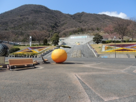 シトラスパーク