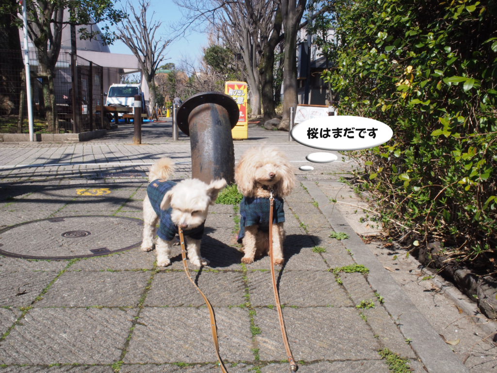 f:id:kubiwakoubou:20170322230124j:plain f:id:kubiwakoubou:20170322230124j:plain
