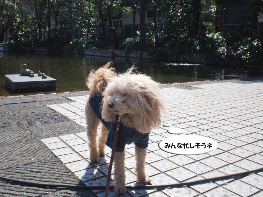 f:id:kubiwakoubou:20170322230231j:plain f:id:kubiwakoubou:20170322230231j:plain