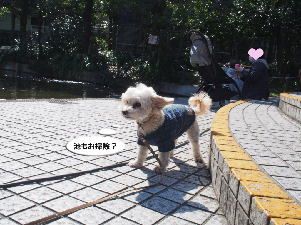 f:id:kubiwakoubou:20170322230337j:plain f:id:kubiwakoubou:20170322230337j:plain