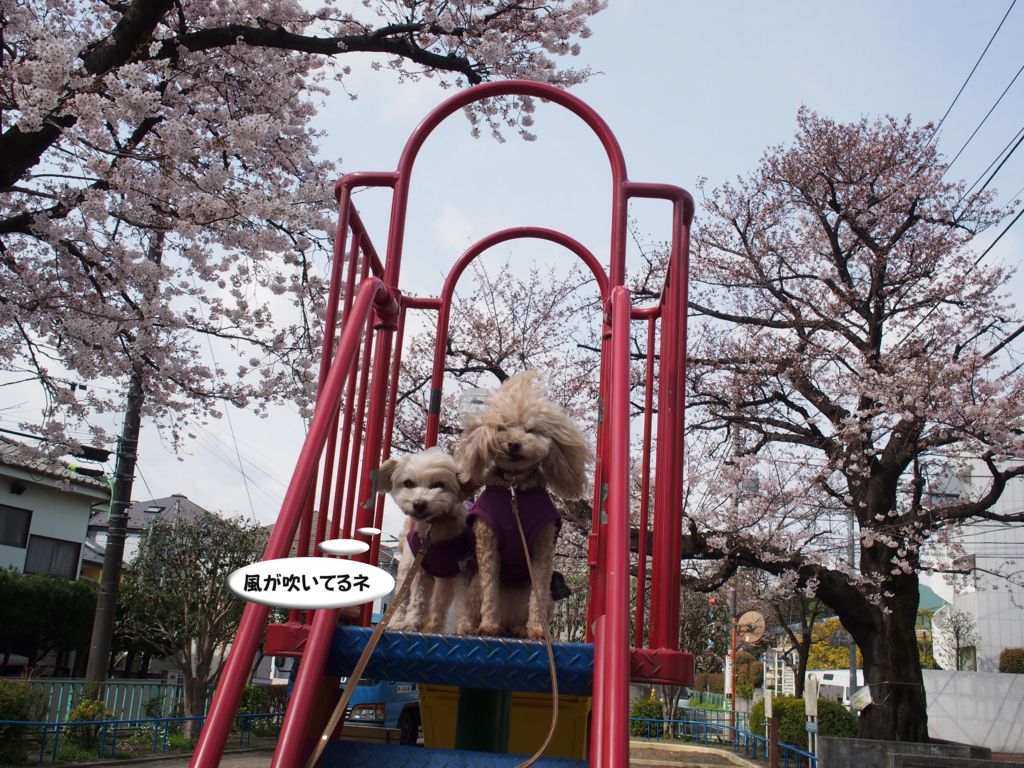 f:id:kubiwakoubou:20170406223823j:plain f:id:kubiwakoubou:20170406223823j:plain