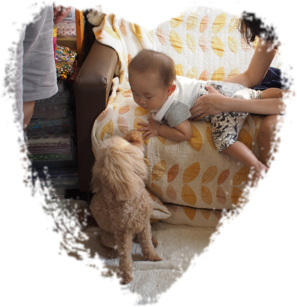 f:id:kubiwakoubou:20170911194512j:plain f:id:kubiwakoubou:20170911194512j:plain