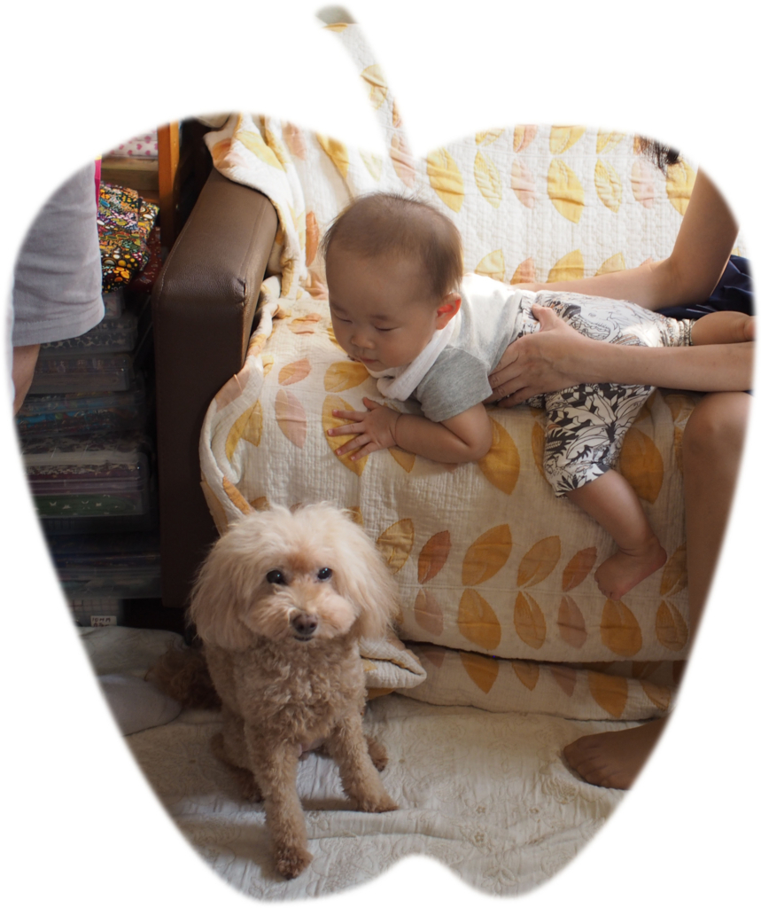 f:id:kubiwakoubou:20170911194557j:plain f:id:kubiwakoubou:20170911194557j:plain