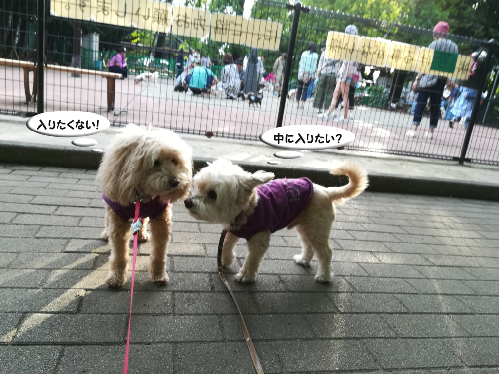 f:id:kubiwakoubou:20180512225722j:plain f:id:kubiwakoubou:20180512225722j:plain