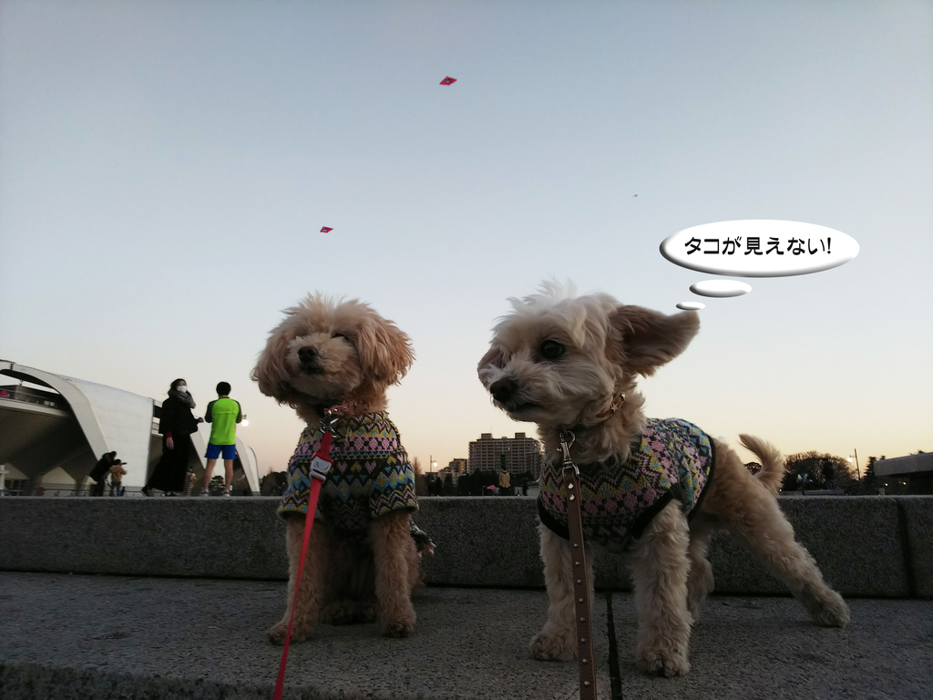 f:id:kubiwakoubou:20190105230757j:plain f:id:kubiwakoubou:20190105230757j:plain