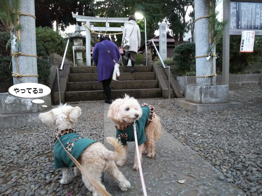 f:id:kubiwakoubou:20190105231309j:plain f:id:kubiwakoubou:20190105231309j:plain