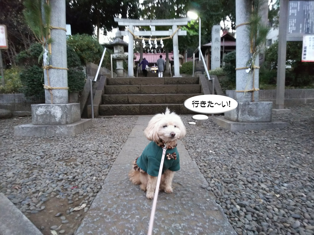 f:id:kubiwakoubou:20190105231340j:plain f:id:kubiwakoubou:20190105231340j:plain
