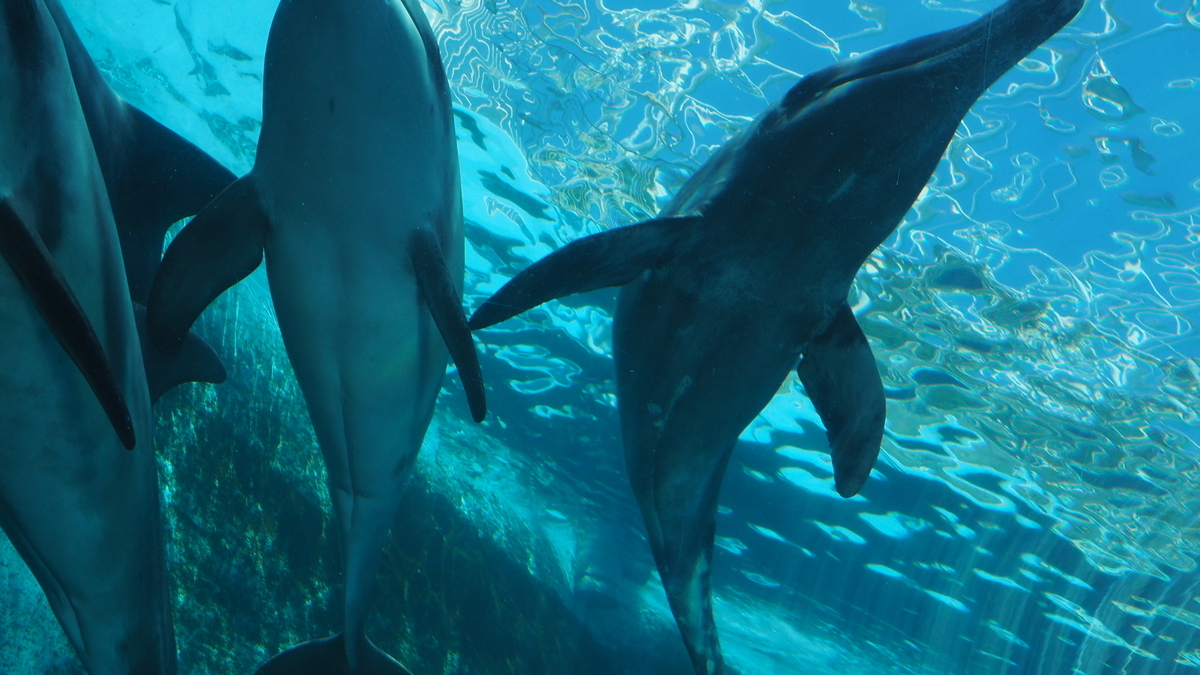 f:id:kubo1019:20190518231634j:plain f:id:kubo1019:20190518231634j:plain