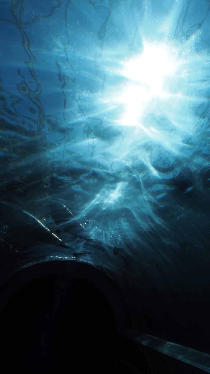 f:id:kubo1019:20190518231717j:plain f:id:kubo1019:20190518231717j:plain