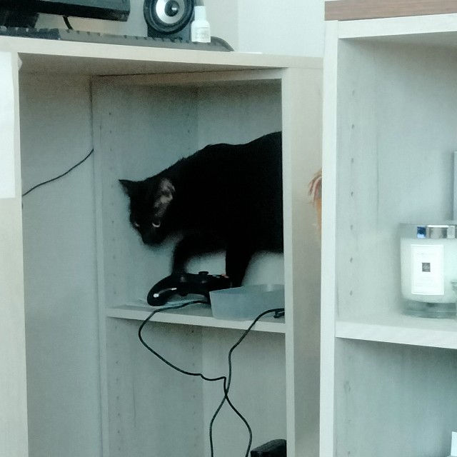 f:id:kubo666:20211205102448j:image f:id:kubo666:20211205102448j:image