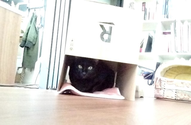 f:id:kubo666:20211205103146j:image f:id:kubo666:20211205103146j:image