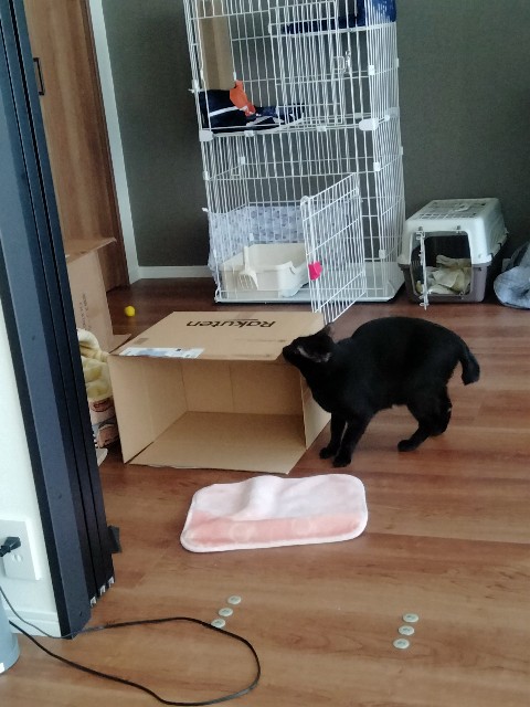 f:id:kubo666:20211205104123j:image f:id:kubo666:20211205104123j:image