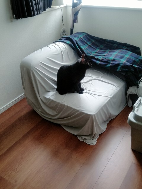 f:id:kubo666:20211214145153j:image