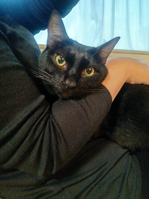 f:id:kubo666:20211215225242j:image