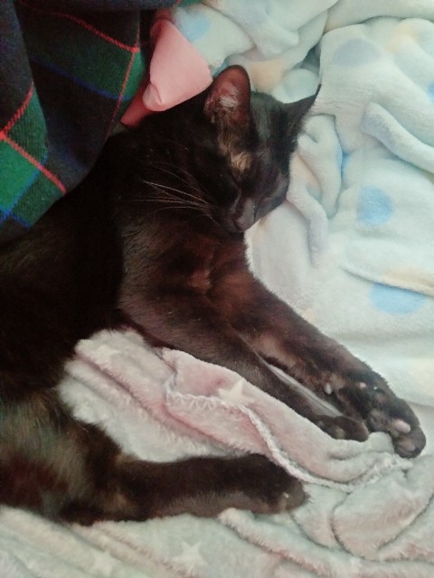 f:id:kubo666:20220203100302j:image f:id:kubo666:20220203100302j:image