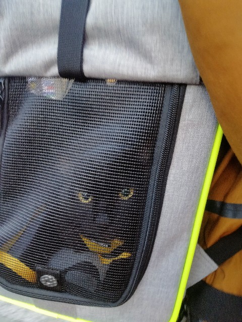 f:id:kubo666:20220203100438j:image f:id:kubo666:20220203100438j:image