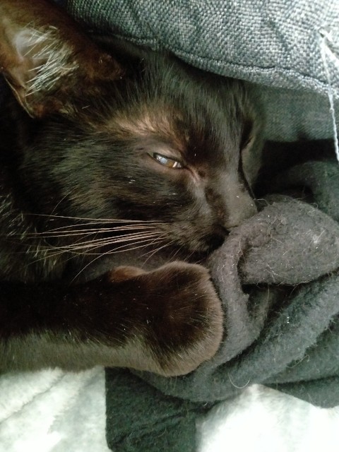 f:id:kubo666:20220323150733j:image