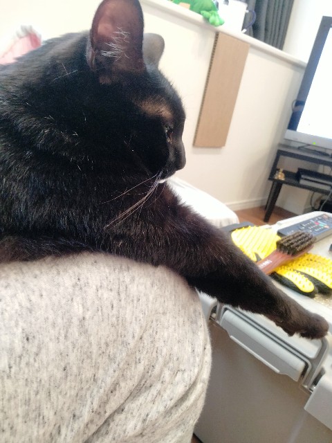 f:id:kubo666:20220323150811j:image