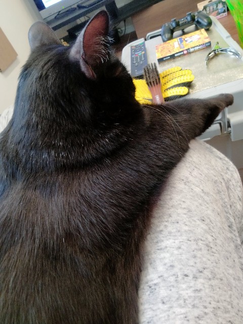 f:id:kubo666:20220323150830j:image