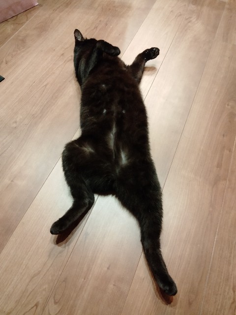 f:id:kubo666:20220527195614j:image